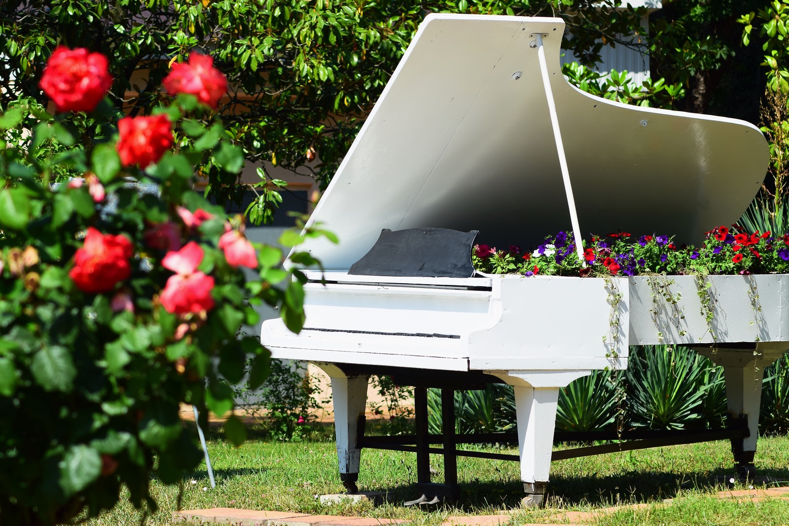 Пианино в саду с цветами